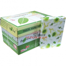 綠葉（GreenLeaf）淺綠色復(fù)印紙 A4/80g 500張/包 10包/箱