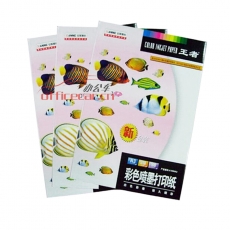 安妮 Anne 王者魚(yú)108g彩色噴墨打印紙A3*100張/包