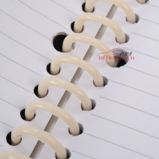 渡邊 Gambol FR1031 活頁(yè)夾 A5 活頁(yè)夾 20孔 1冊(cè)