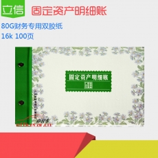 立信 L.X 固定資產(chǎn)明細(xì)賬 100頁