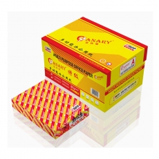金絲雀（Anary）復(fù)印紙 A5/80g 500張/包 10包/箱