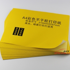 國產(chǎn) Domestic 不干膠標(biāo)簽（A4 光面 黃色） 50張/包