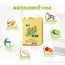 高富力 G.F.L 經(jīng)典全效洗潔精 20KG