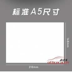 蔡倫星 CLX 復印紙 A5/80g 500張/包 20包/箱
