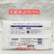 愛舒樂 A.S.L 抗菌濕巾 80片/盒