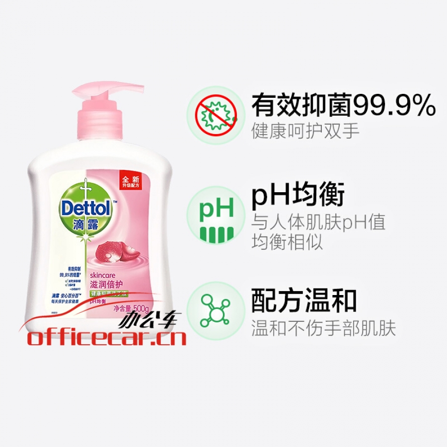 滴露 Dettol 健康抑菌洗手液 500ml/瓶 12瓶/箱 (滋潤(rùn)倍護(hù))