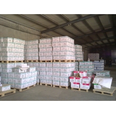 廣州市內(nèi)外復(fù)印紙（包郵）A4/80g 500張/包 5包/箱 （得力、齊心、亞太、天章等隨機(jī)出）